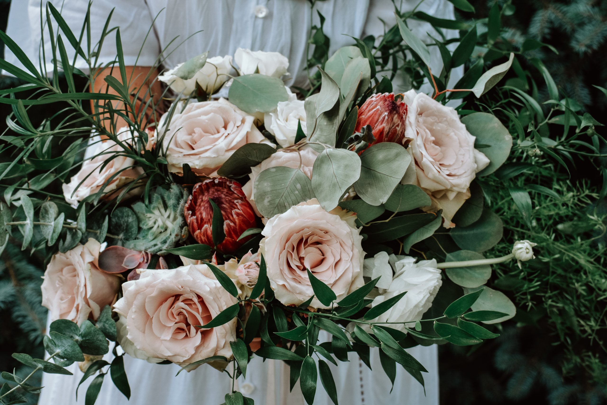 jacalyn-beales-nS8YIVyC7Rc-unsplash